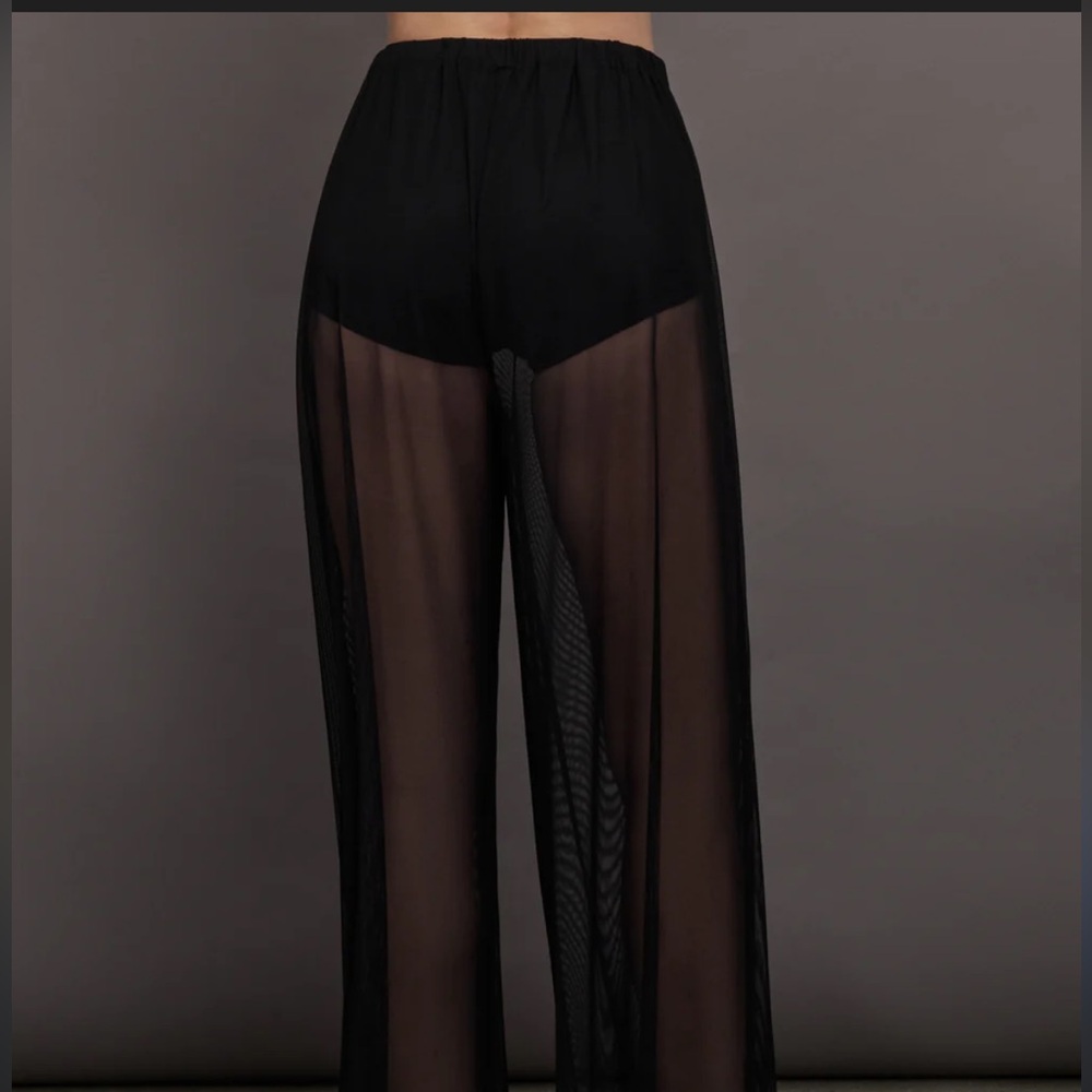 Zara Sheer Black Pants